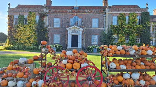 Harvest and Pumpkin Displays at Hinton Ampner